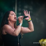 0043 Koza 022